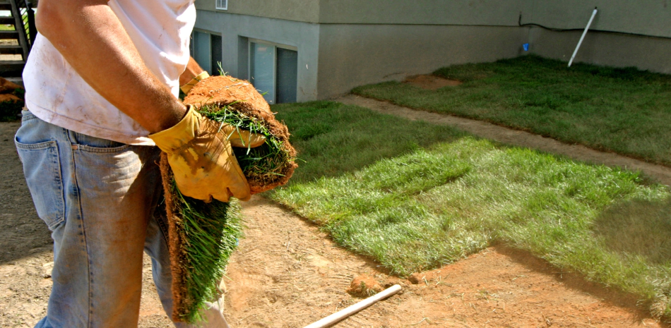 Sod & Turf Installation